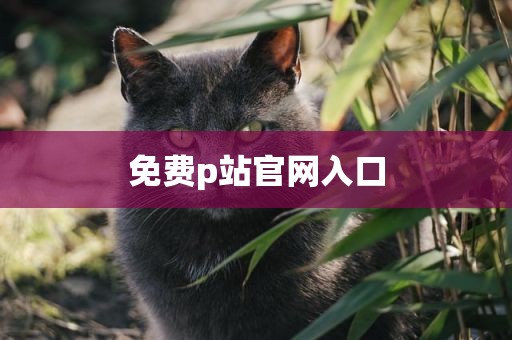 免费p站官网入口