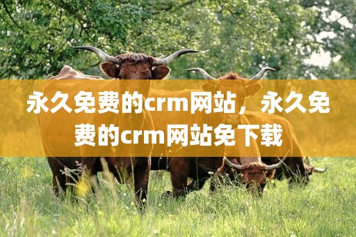 永久免费的crm网站，永久免费的crm网站免下载