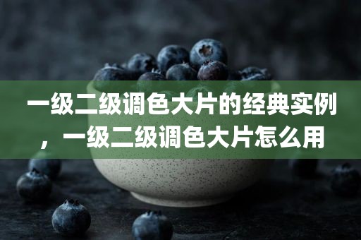 一级二级调色大片的经典实例，一级二级调色大片怎么用