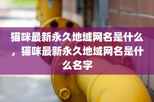 猫咪最新永久地域网名是什么，猫咪最新永久地域网名是什么名字