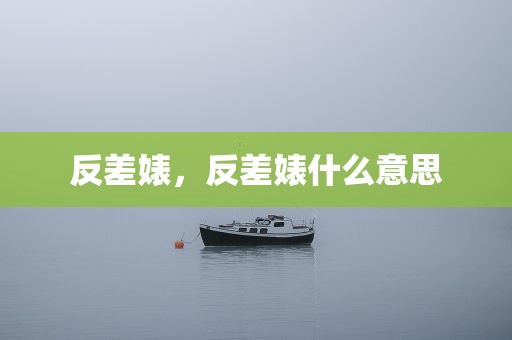 反差婊，反差婊什么意思
