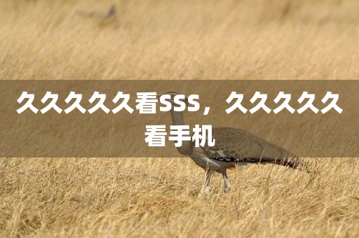 久久久久久看SSS，久久久久久看手机