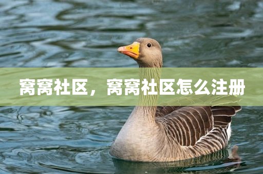 窝窝社区，窝窝社区怎么注册