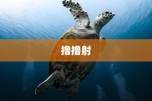 撸撸射