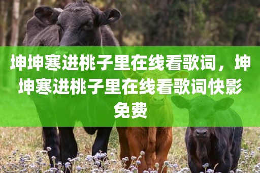 坤坤寒进桃子里在线看歌词，坤坤寒进桃子里在线看歌词快影免费