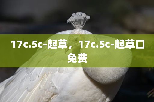 17c.5c-起草，17c.5c-起草口免费