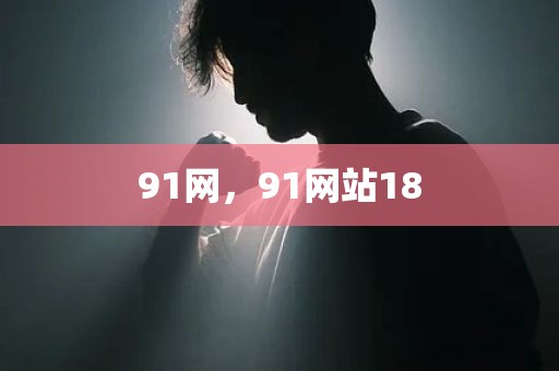 91网，91网站18