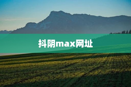 抖阴max网址