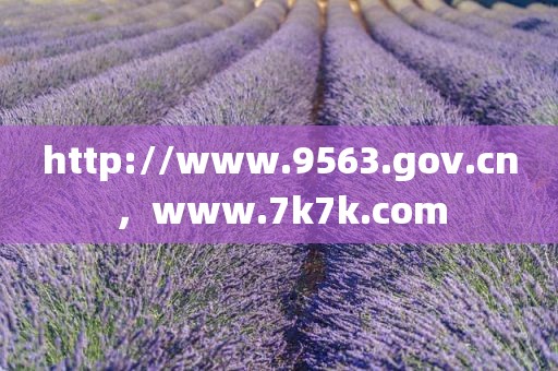 http://www.9563.gov.cn，www.7k7k.com