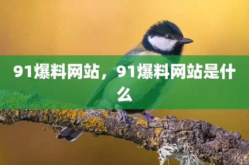 91爆料网站，91爆料网站是什么