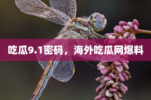 吃瓜9.1密码，海外吃瓜网爆料