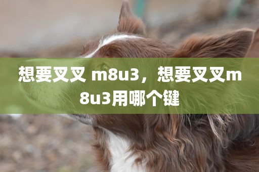 想要叉叉 m8u3，想要叉叉m8u3用哪个键