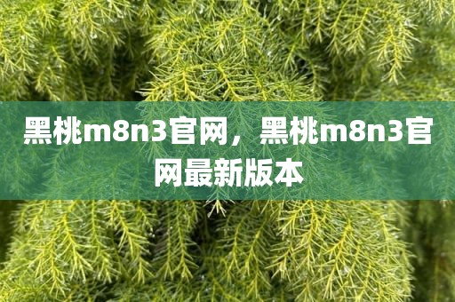 黑桃m8n3官网，黑桃m8n3官网最新版本