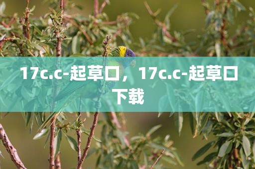 17c.c-起草口，17c.c-起草口下载