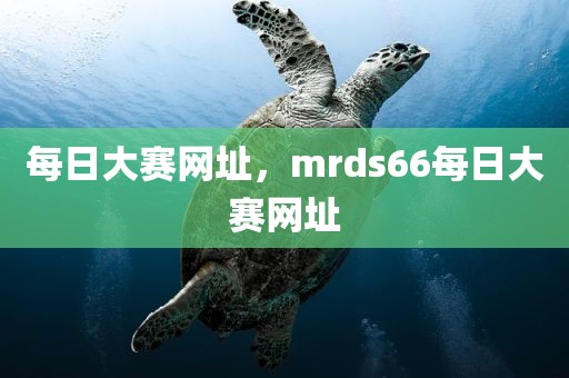 每日大赛网址，mrds66每日大赛网址