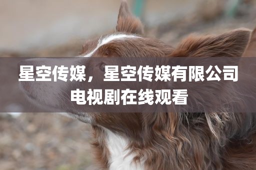 星空传媒，星空传媒有限公司电视剧在线观看