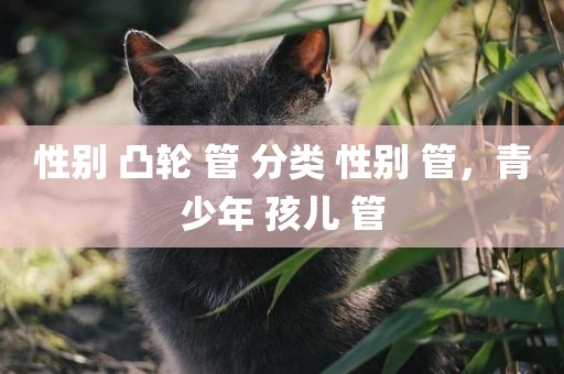性别 凸轮 管 分类 性别 管，青少年 孩儿 管