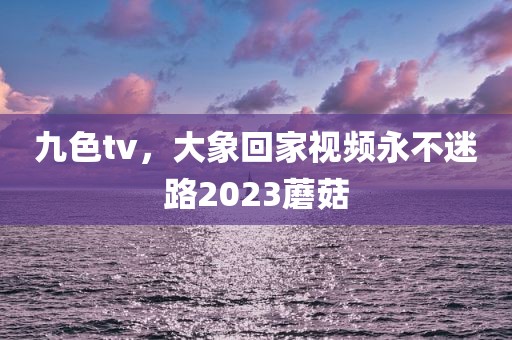 九色tv，大象回家视频永不迷路2023蘑菇