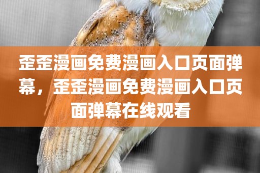 歪歪漫画免费漫画入口页面弹幕，歪歪漫画免费漫画入口页面弹幕在线观看