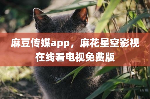 麻豆传媒app，麻花星空影视在线看电视免费版