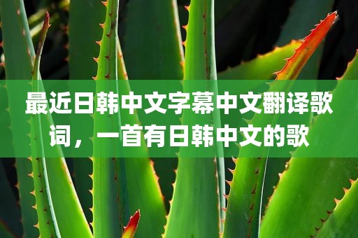 最近日韩中文字幕中文翻译歌词，一首有日韩中文的歌
