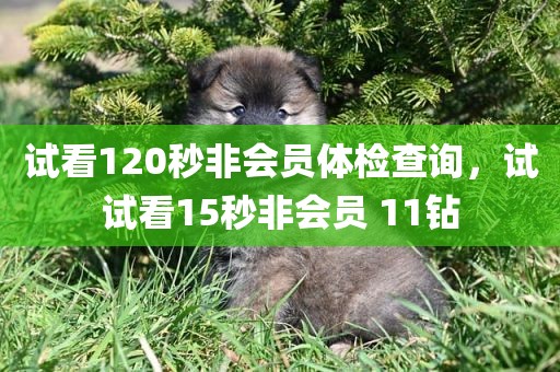 试看120秒非会员体检查询，试试看15秒非会员 11钻
