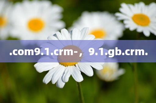 .com9.1.crm-，9.1.gb.crm.