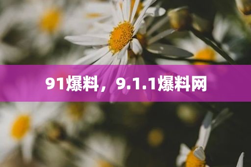 91爆料，9.1.1爆料网