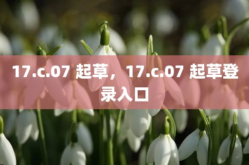 17.c.07 起草，17.c.07 起草登录入口