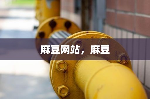 麻豆网站，麻豆