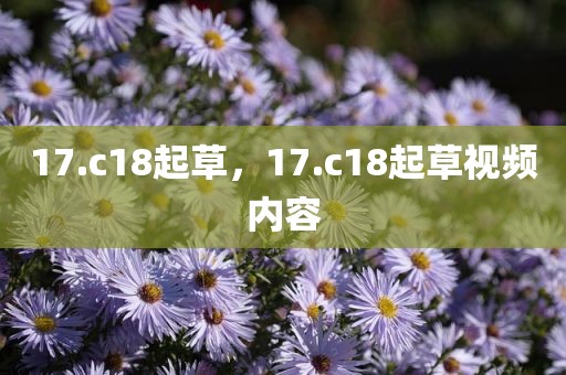 17.c18起草，17.c18起草视频内容