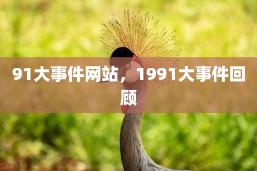 91大事件网站，1991大事件回顾