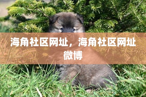 海角社区网址，海角社区网址微博