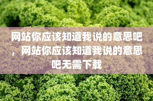 网站你应该知道我说的意思吧，网站你应该知道我说的意思吧无需下载