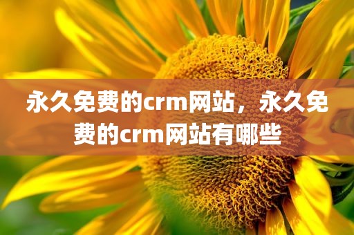 永久免费的crm网站，永久免费的crm网站有哪些