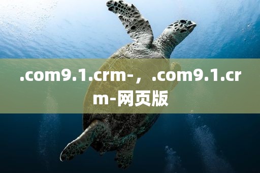 .com9.1.crm-，.com9.1.crm-网页版