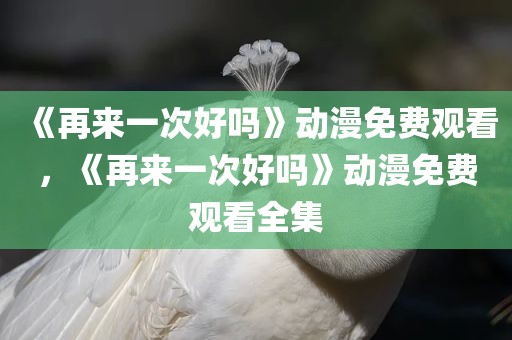 《再来一次好吗》动漫免费观看，《再来一次好吗》动漫免费观看全集