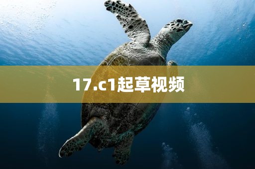 17.c1起草视频