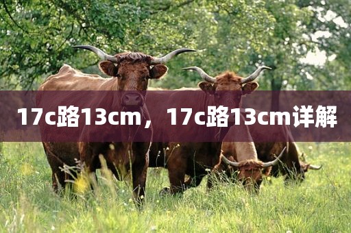 17c路13cm，17c路13cm详解