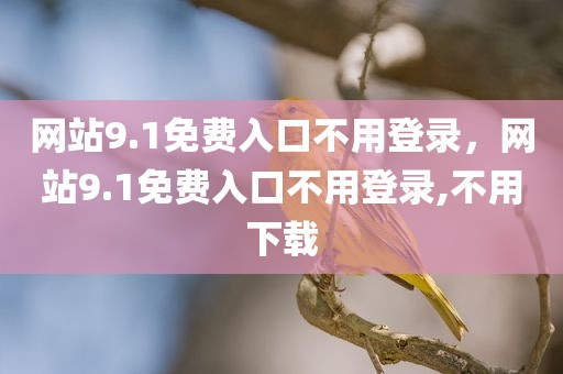 网站9.1免费入口不用登录，网站9.1免费入口不用登录,不用下载