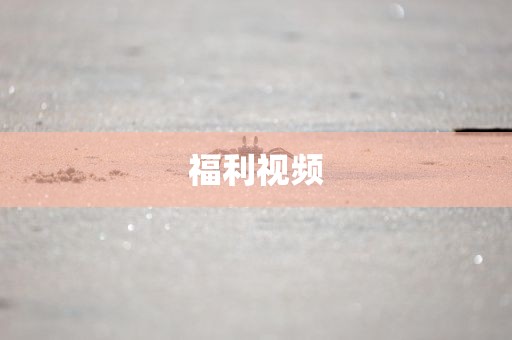 福利视频