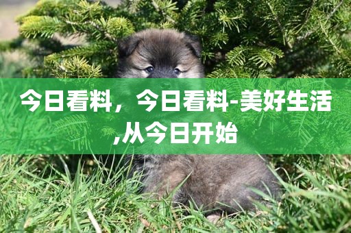 今日看料，今日看料-美好生活,从今日开始