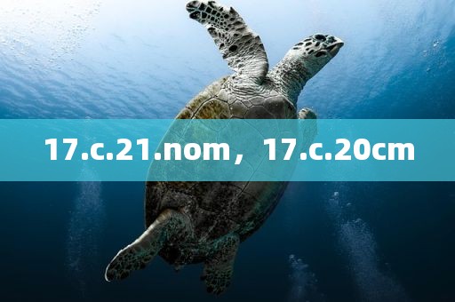 17.c.21.nom，17.c.20cm