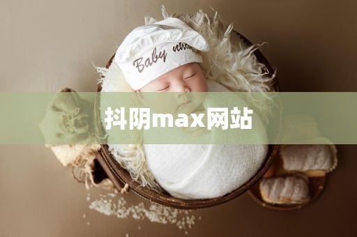 抖阴max网站