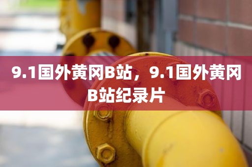 9.1国外黄冈B站，9.1国外黄冈B站纪录片