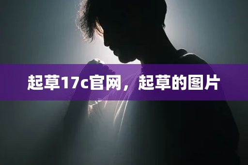 起草17c官网，起草的图片