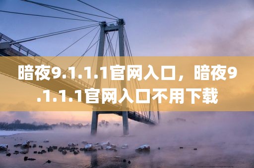 暗夜9.1.1.1官网入口，暗夜9.1.1.1官网入口不用下载
