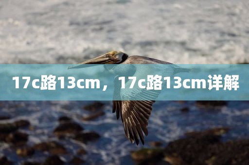 17c路13cm，17c路13cm详解