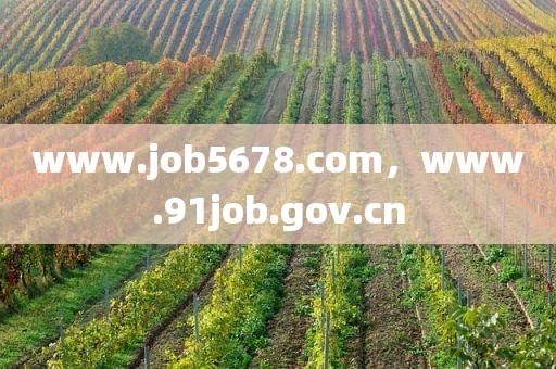 www.job5678.com，www.91job.gov.cn