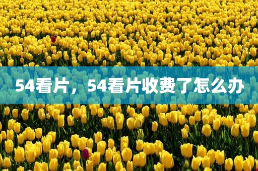 54看片，54看片收费了怎么办